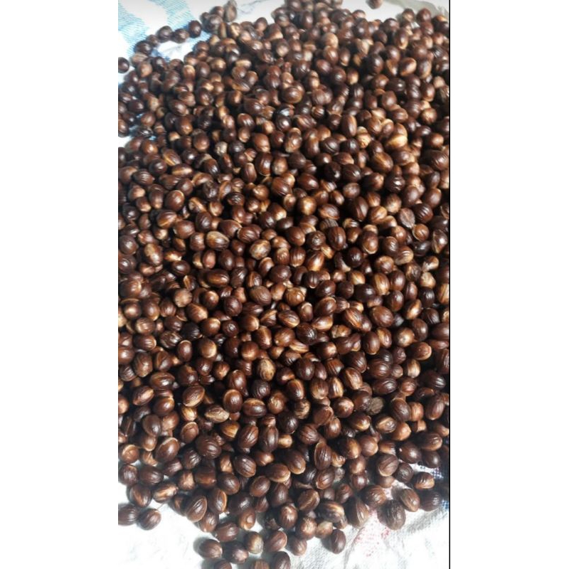 

pala bulat kering 1kg