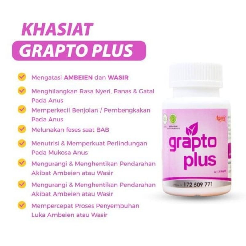 Grapto Plus Obat Wasir Ambeien Original Asli Hemoroid Ambeien Herbal