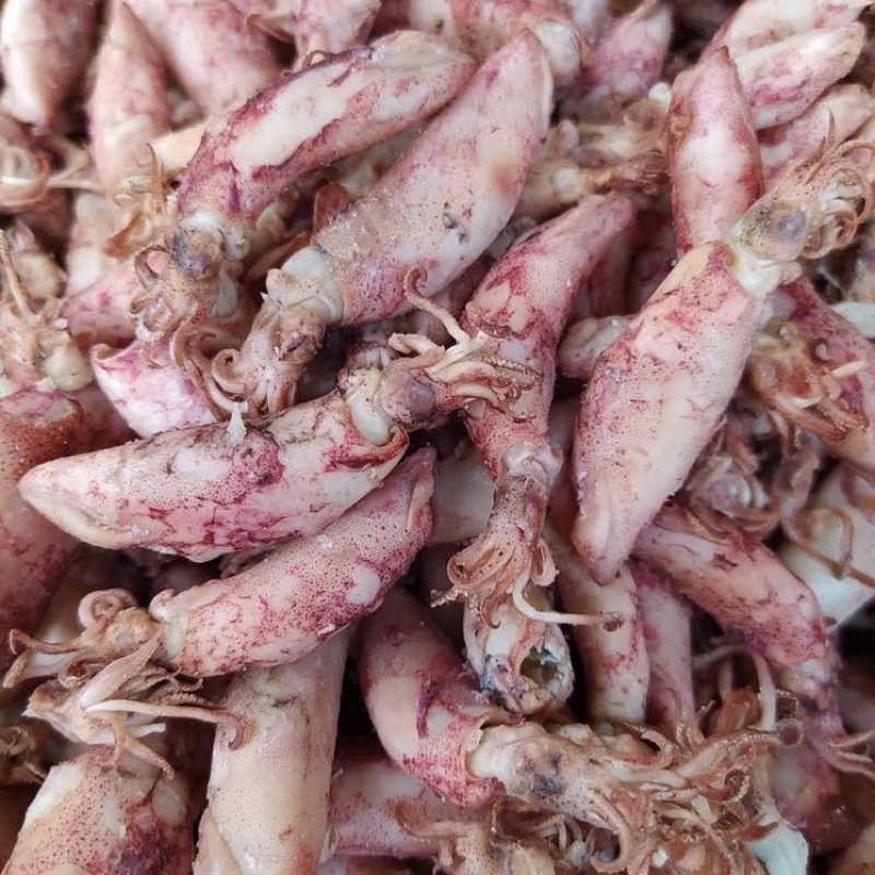 

baby cumi super premium 250 gr ||cumi asin ||beby cumi asin ||cumi