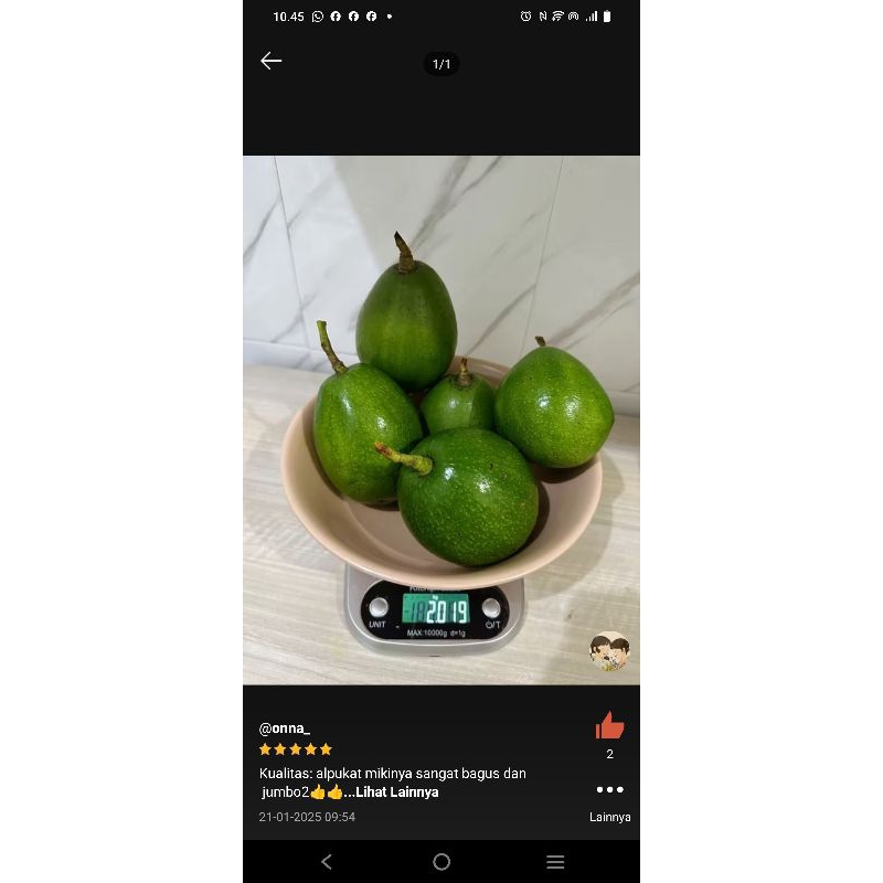 

alpukat miki, 800 gram isi 2