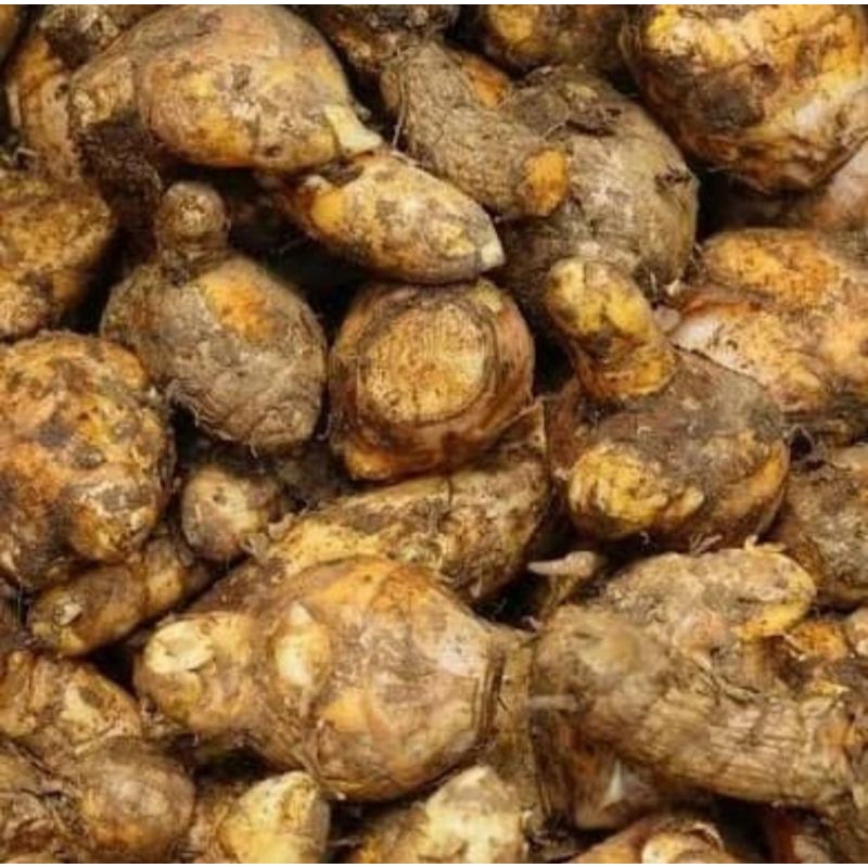 

Temulawak Segar Organik 250gr