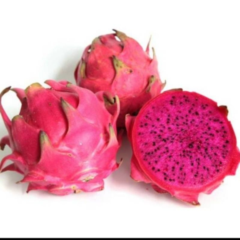 

Buah naga fresh 500gr