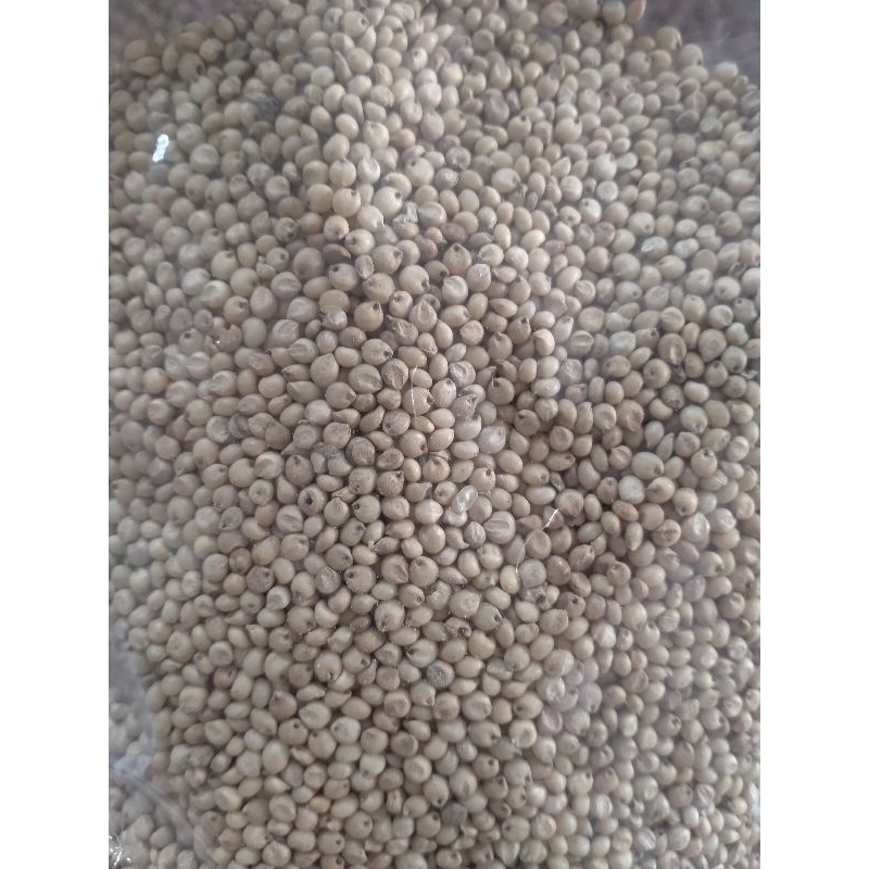 

jowar seed @500gr
