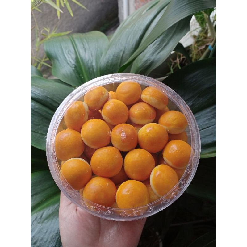 

KUKER LEBARAN TOPLES 500 GR