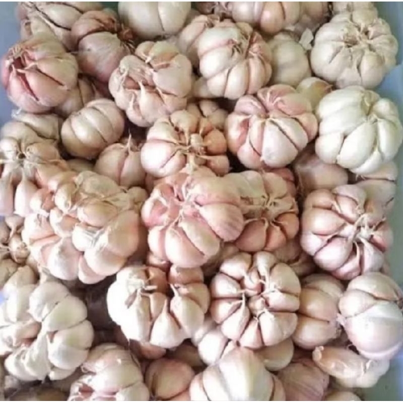 

Bawang putih bersih 1kg