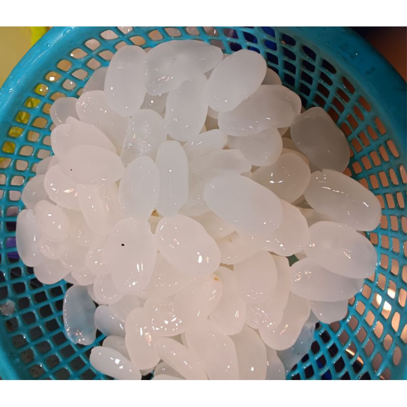 

kolangkaling baru 500gr