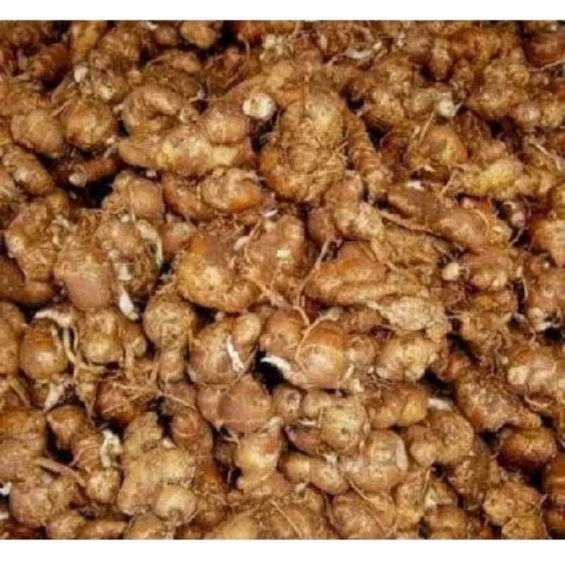

bisa cod Juan umbi kencur per 250g fh