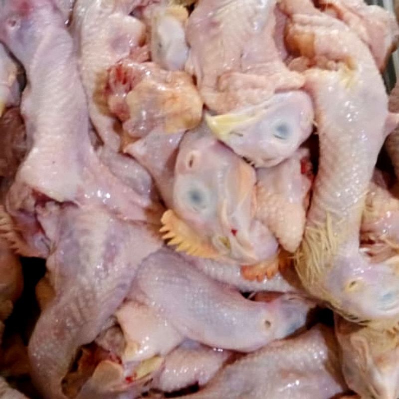 

kepala ayam fresh