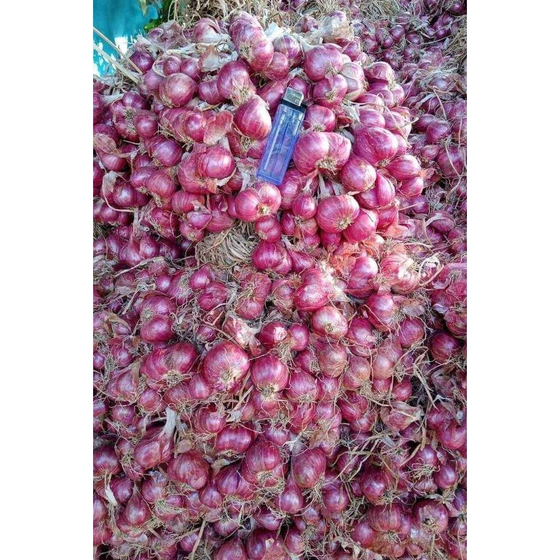 

bawang merah daun kering 1kg berkualitas