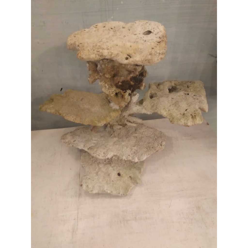 Reef Scaping Dead Rock Size 20x20x25 Cm