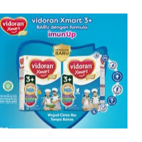 VIDORAN XMART 3+