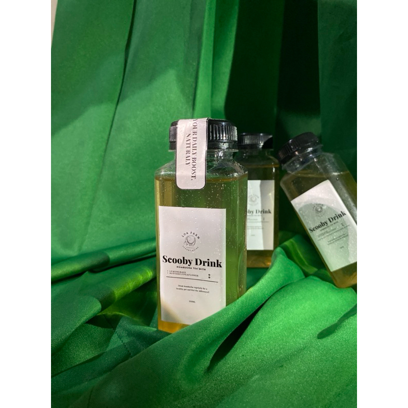 

Minuman segar Kombucha