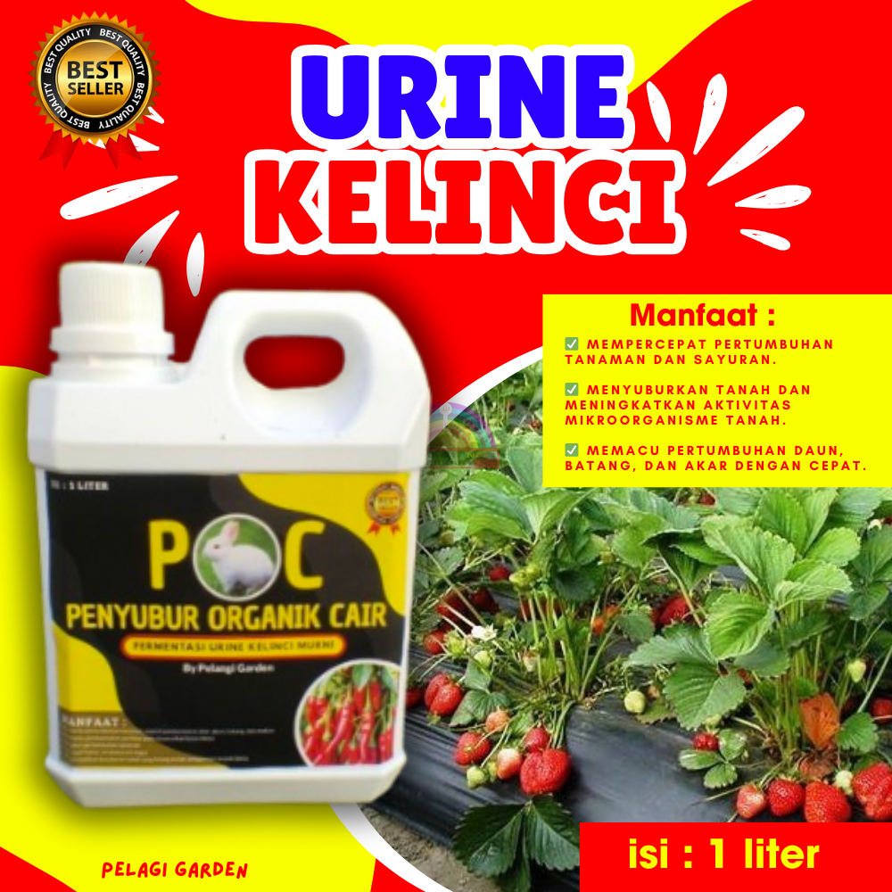 JAMIN ASLI... Pupuk Urin Kelinci 1 liter , Urin Kelinci Fermentasi