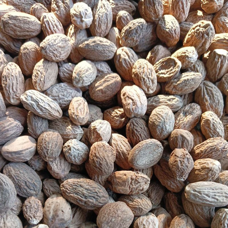 

NUTMEG GRADE SS