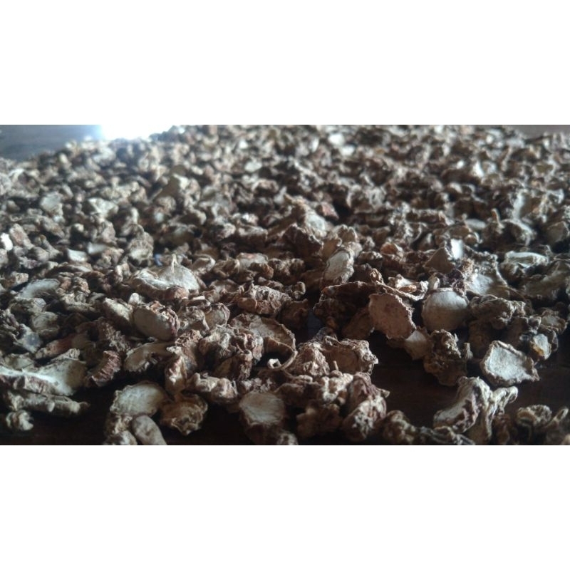 

kencur kering siap giling