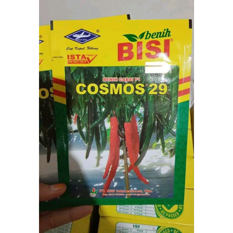 

cabe Cosmos 29 f1 10 gram - cap kapal terbang