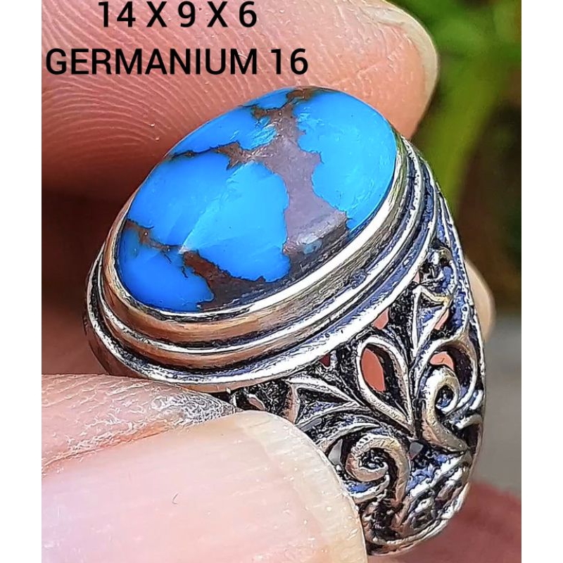 pirus Mesir blue royal ceplok kuro