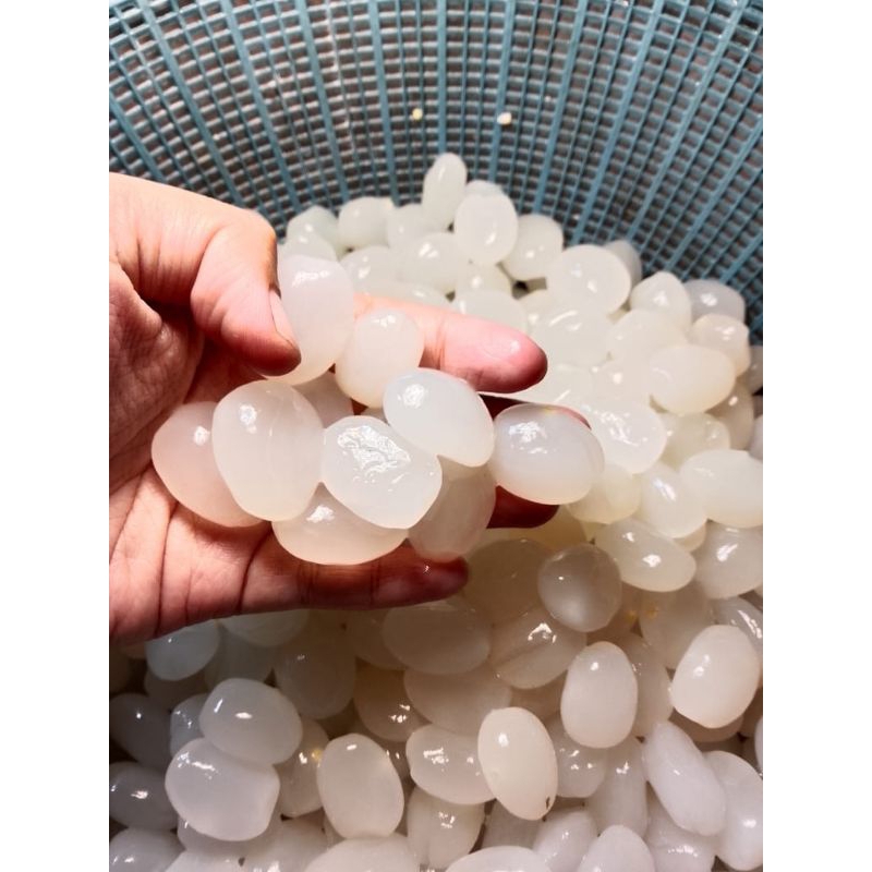 

Kolang kaling 1kg