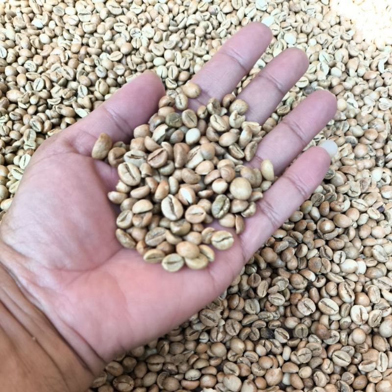 

Kopi Biji Green Bean Robusta Nawangan Pacitan