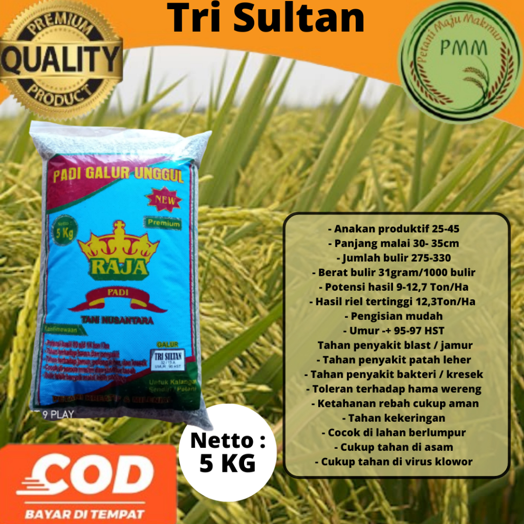 Bibit Padi Unggul TRI SULTAN 5kg Benih Padi TRISULTAN