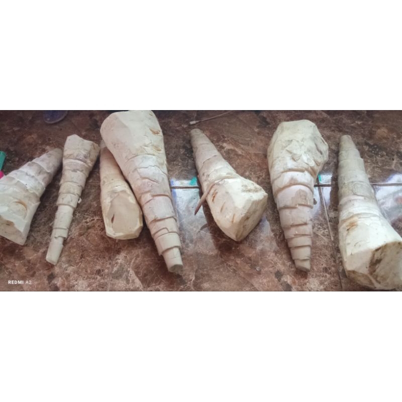 

Rebung Jawa Rebung Legi Bung Jawa Bambu Muda Bambu Legi