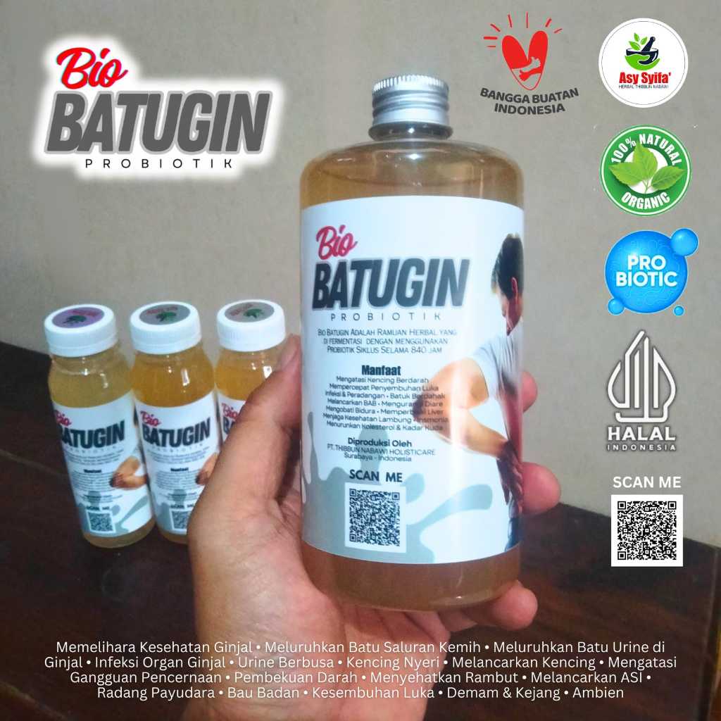 

Batugin Batu Ginjal Batu Empedu