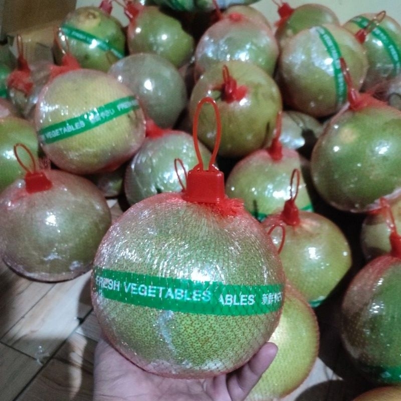 

Jeruk Pamelo Madu isi 4 biji berat 9 ons