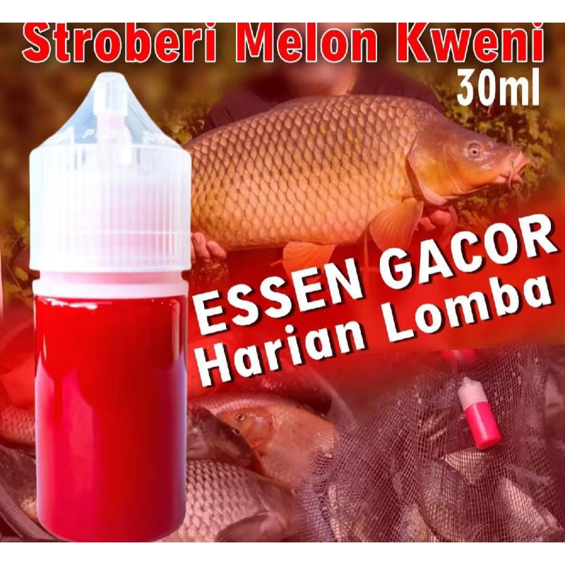 Essen Ikan Mas Babon dan Rame, Essen Oplosan Ikan Mas Stroberi Melon Kweni