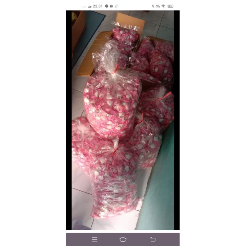 

yupi kiloan lossh termuarah