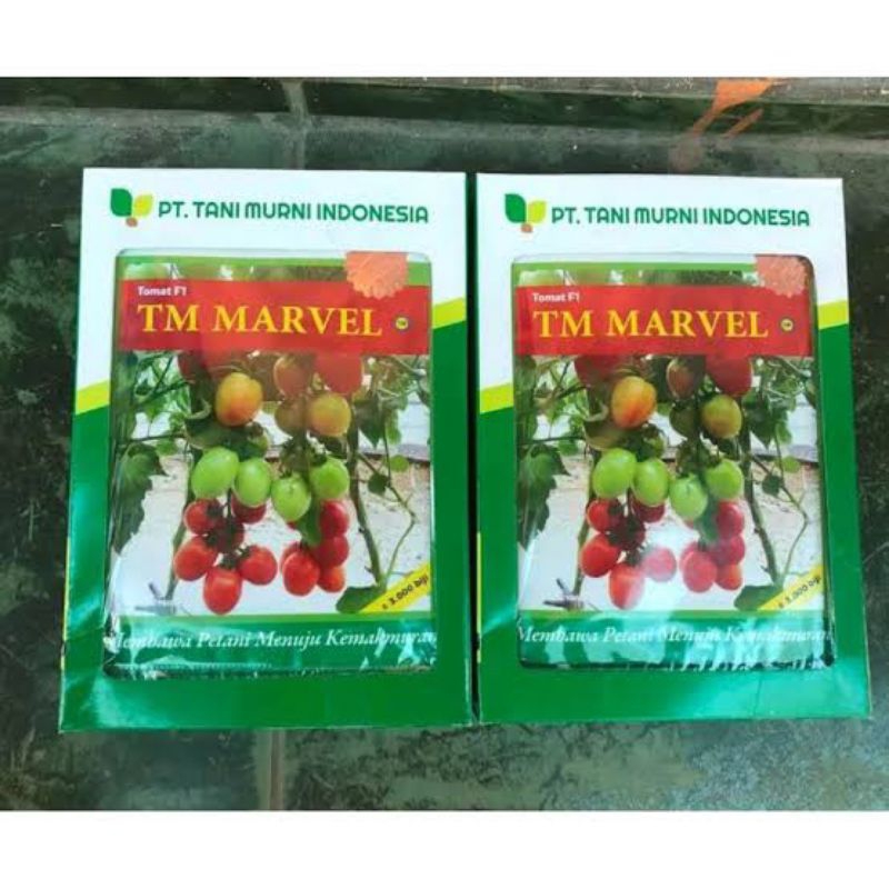 benih tomat tm marvel 10 gram