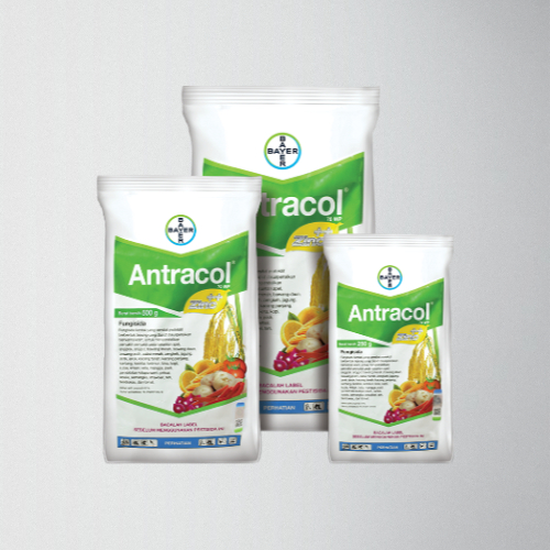 Fungisida Antracol 70 WP: Bahan aktif Propineb dan Zinc