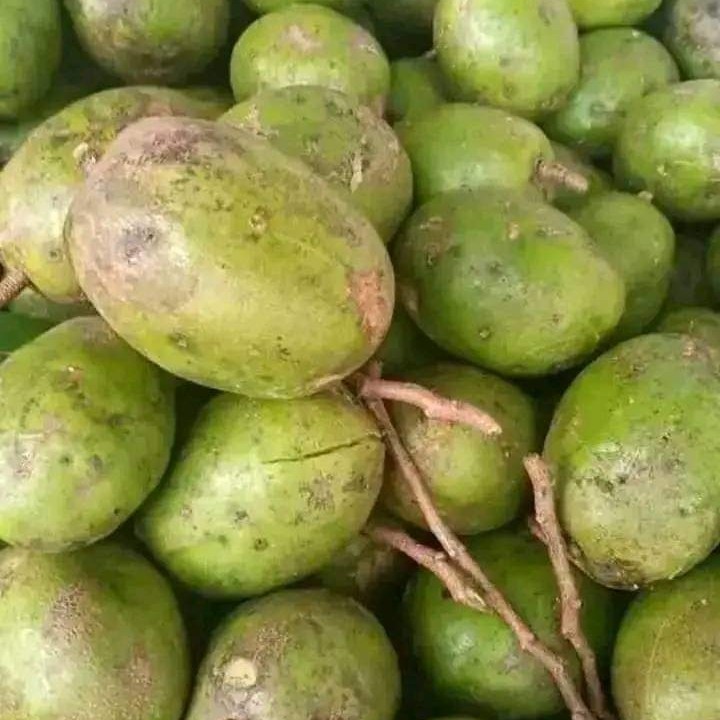 

1kg buah kedongdong segar bisa buat rujak dan asinan mantap