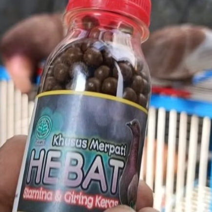 JAMU MERPATI GIRING KERAS