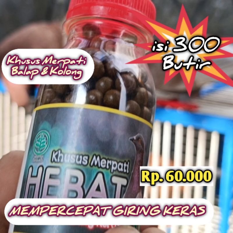 JAMU MERPATI GIRING KERAS