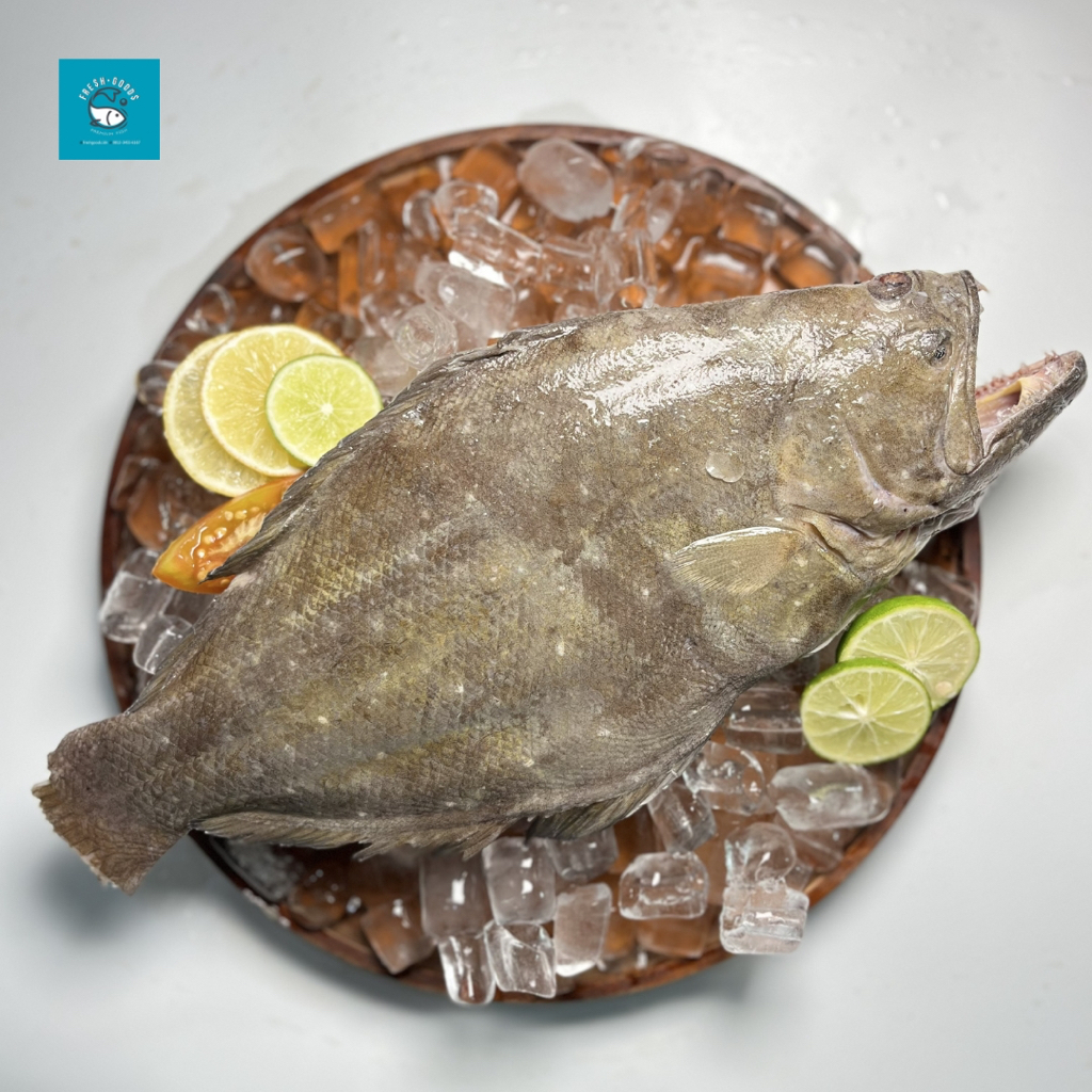 

Ikan Halibut Premium / Ikan Sebelah Dijamin SEGAR dan BERKUALITAS by FreshGoods Jakarta Barat