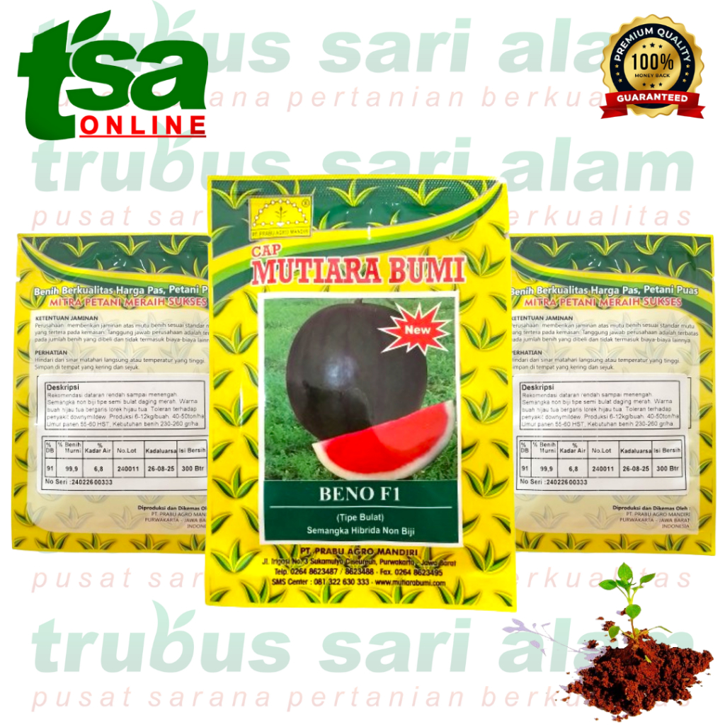 BENO F1 15gr NON BIJI (300 biji) - Benih bibit buah semangka merah tanpa biji Cap Mutiara Bumi