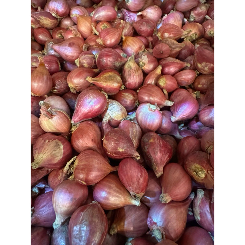 

Bawang merah brebes besar 1kg