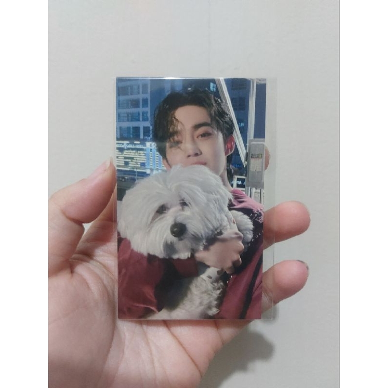 PHOTOCARD SCOUPS KKUMA / PC TOKYO DOME / POB FML