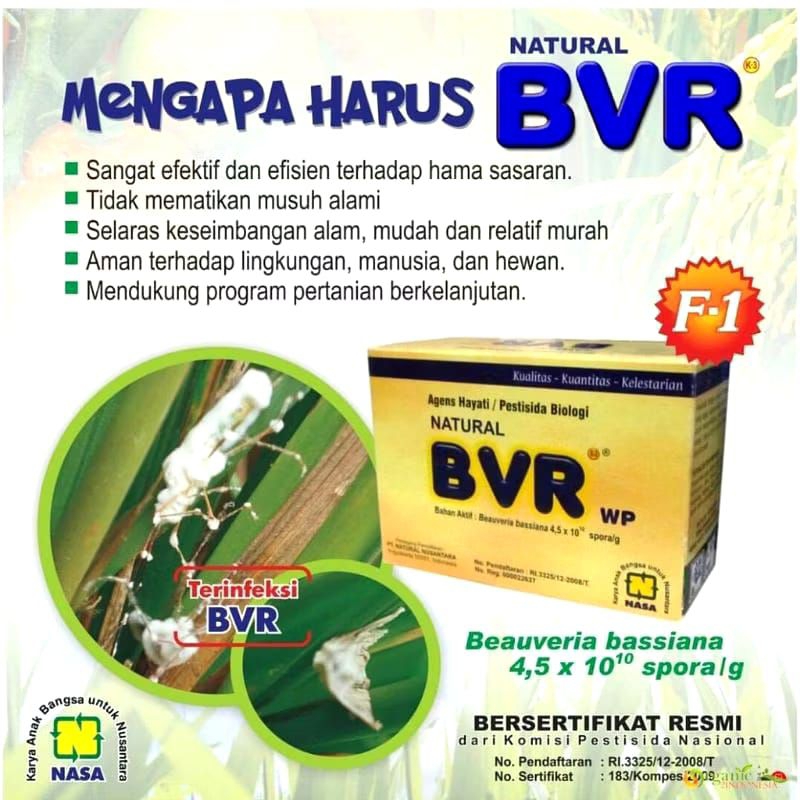 NATURAL BVR Obat Pembasmi Hama Tanaman Pupuk Organik Nasa Original