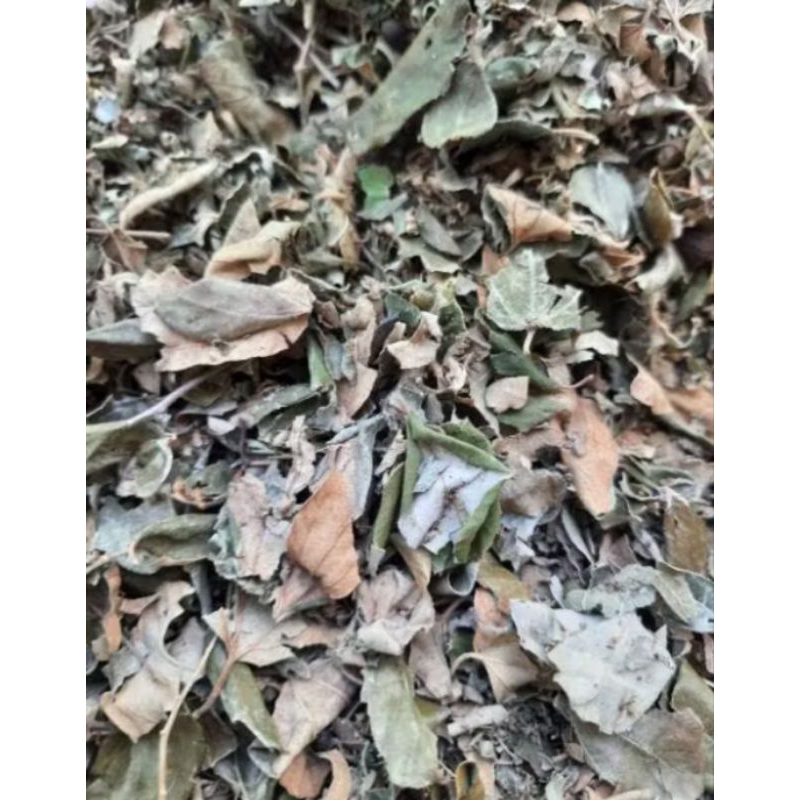 

Daun bidara kering organik berat 100gr rempah indonesia