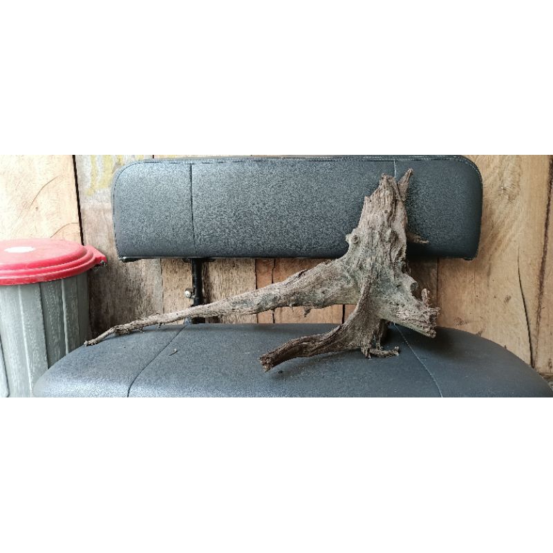 KAYU SANTIGI aquascape