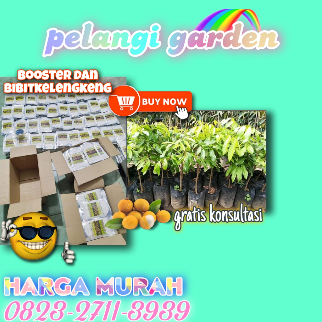 Booster Kelengkeng Sodium, Booster Kelengkeng Serbuk, Booster Kelengkeng Super, Booster Kelengkeng S