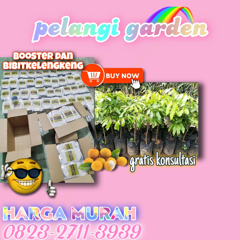 Booster Kelengkeng Super, Booster Kelengkeng Sudah Berbunga, Booster Kelengkeng Siap Berbuah, Booste
