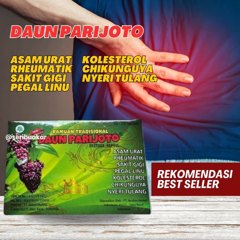 

Daun Parijoto Original 100%