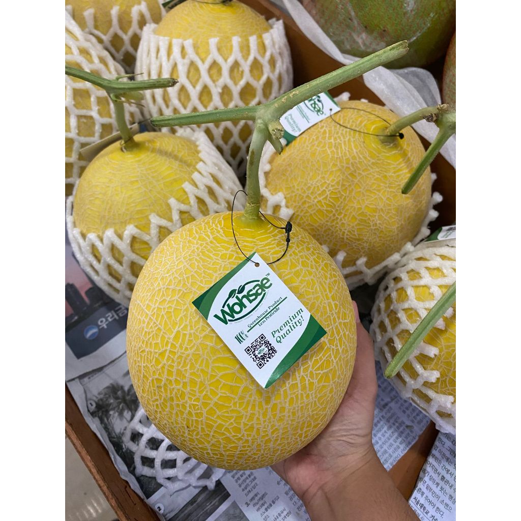 

MELON BABY BLONDE. MELON HIJAU ENAK MANIS.