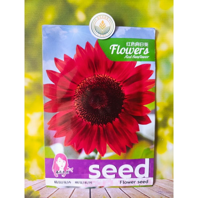 BIJI BUNGA MATAHARI MERAH IMPOR KEMASAN ORIGINAL -+ 40 BUTIR