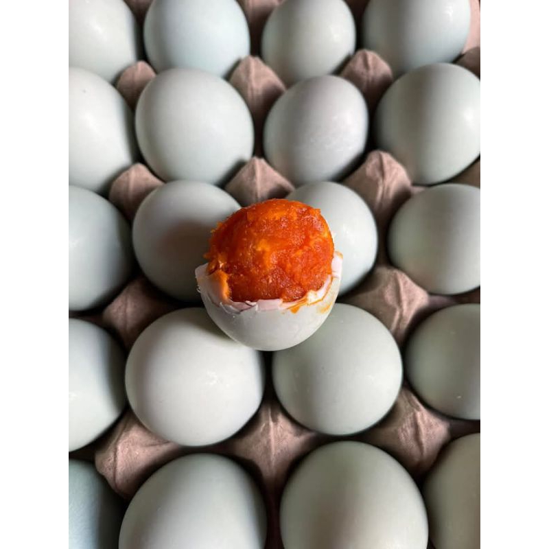 

TELUR BEBEK ASIN (matang)isi 10 butir, FRESH DARI PETERNAKAN.