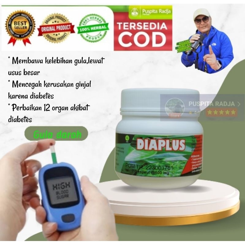 Obat herbal DIAPLUS diabetes, Puspita Radja Herbal, Mencegah kerusakan gagal ginjal