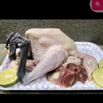 

ayam kampung kaki hitam