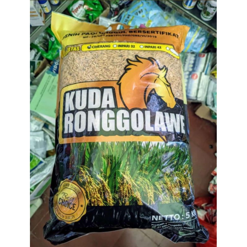 Benih Padi CIHERANG Premium Kuda Ronggolawe 5 Kg Tahan Wereng Tungro Kerdil